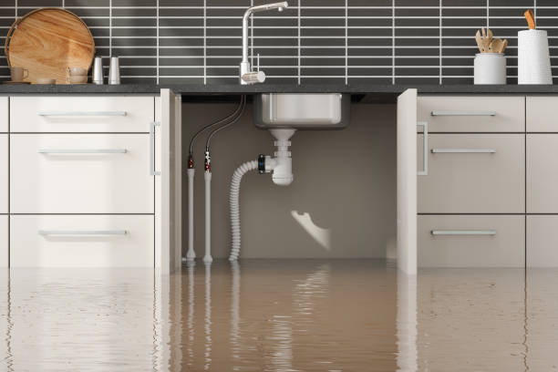 Best Flood Cleanup and Water Removal in Woodland Hills, UT